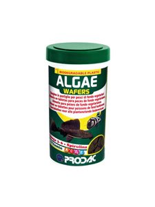ALGAE WAFER 50 gr. - Peces de fondo